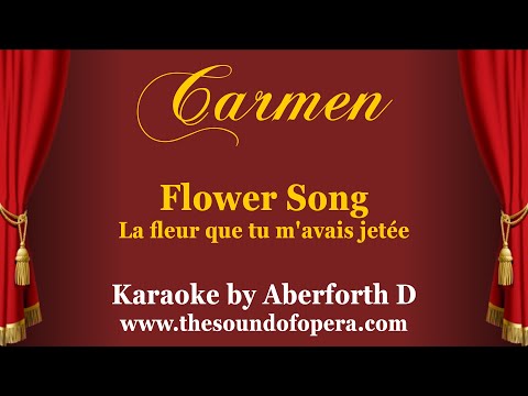 CARMEN KARAOKE 18 - La fleur que tu m'avais jetée (Flower song) | Aberforth D