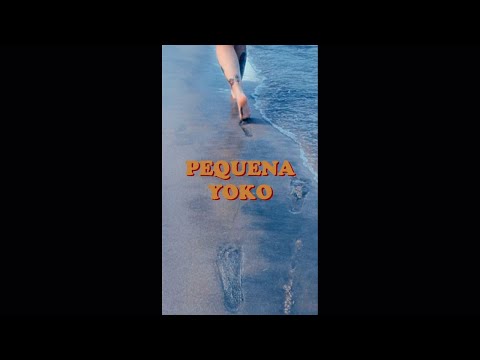 FLP011 - Pequena Yoko (Vertical Vídeo).