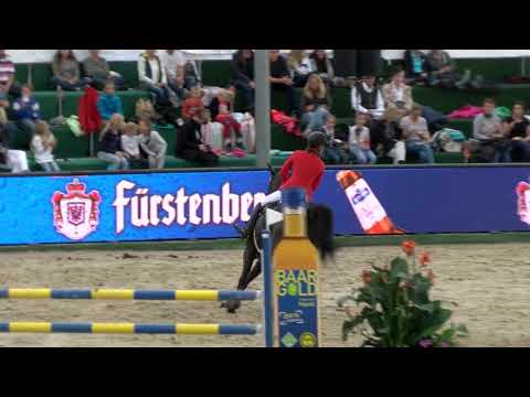 Fest der Pferde 2017 Prf07 67 468 Ina von Bormann Rahmannshof Black Pearl