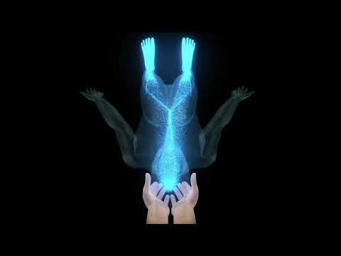 Directing The Tide - Lyons Institute Biodynamic Craniosacral Therapy