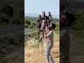 Banna Tribe Stick Walking Bannatribe Tribe Stickwalk Ethiopia Africa