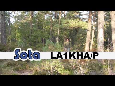 Holtankollen LA/TM049 sota (from 2009)