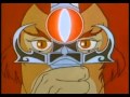Remebering Old Thunder Cats