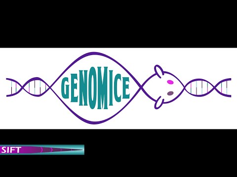 Project Summary: GENOMICE (Phase I)