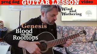 Pt 1 | Genesis Guitar INTRO Blood on the Rooftops | Wind and Wuthering