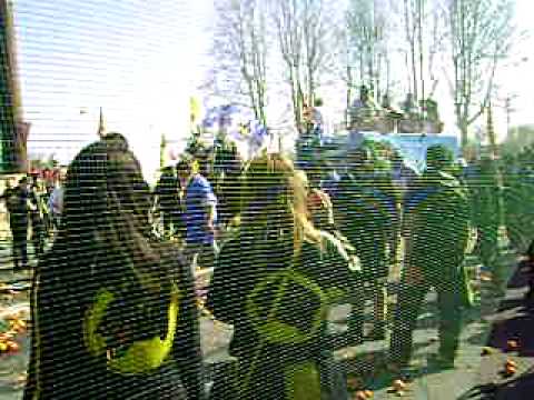 aranceri pantera nera 2011