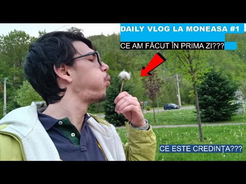 DAILY VLOG - MONEASA #1
