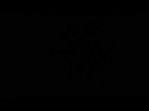 Shemot - Parashat Shemot - 4th Aliyah - English