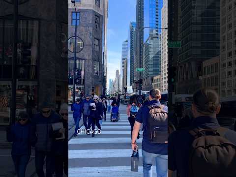 Walking in downtown Chicago, Illinois, USA , City of Chicago #usashorts #usatravel #windycity