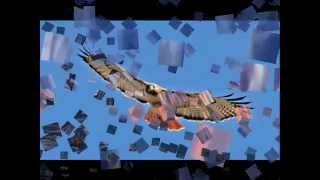 Lynyrd Skynyrd - Ready to fly