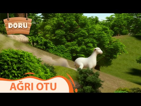 Ağrı Otu | Doru | 18.Bölüm