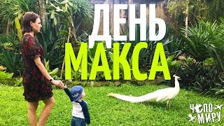 Максовский День. Чем заняться с ребенком на Бали? Bali Bird Park, Peek a Boo