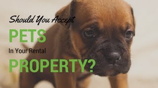 Should You Accept Pets for Your Northern Virginia Rental Property? Landlord Advice
