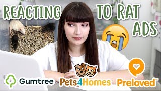 Rat OWNER reacts to rat ADS on selling sites