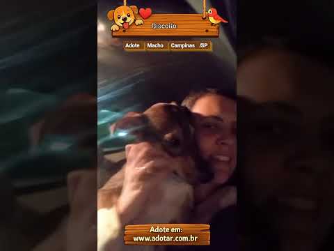 Vídeo de Biscoito 
