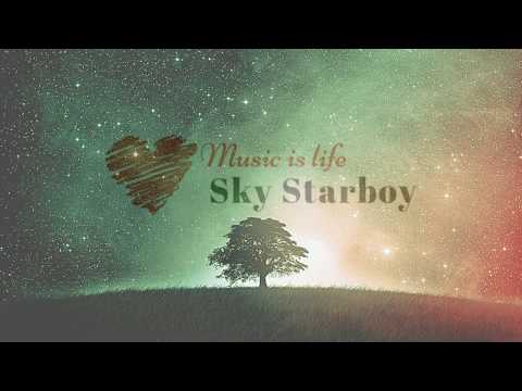 Thomas Mengel VS Sky Starboy - Palladium (Extended Mix Ultra)