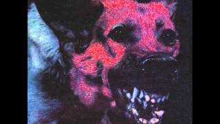 Protomartyr - Bad Advice
