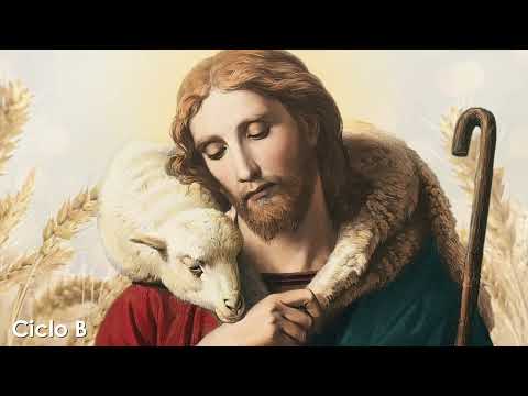 Témporas de Acción de Gracias y de Petición |05.10.2024|Pbro. Ricardo Mendoza FM|