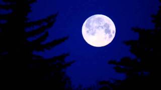 Count Basie Orchestra - FlyMe2TheMoon