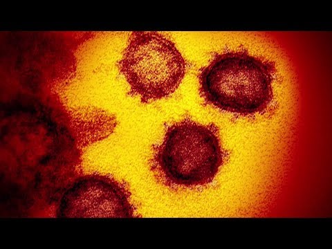 New York Coronavirus Latest