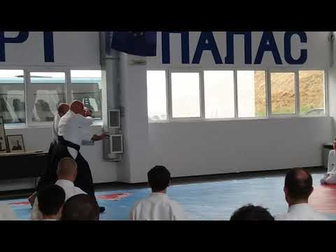 Seminar in Varna 15-17.06.2017 - Michele Quaranta - Video 3