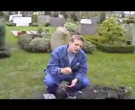 Jizzo und Borussias 2te