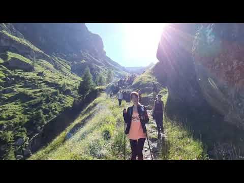 Cab. OMU 2507 m - Valea CERBULUI - Poiana COSTILEI 1310 m - cab GURA DIHAM 950 m