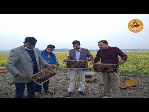 ভিডিও গ্যালারি