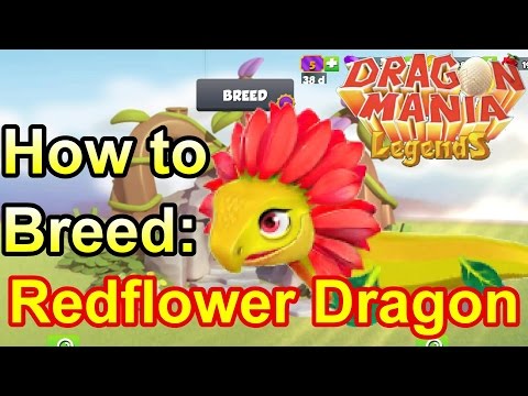 How to Breed: Redflower Dragon - Dragon Mania Legends (Dragon of the Week)