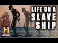 Life Aboard a Slave Ship | History