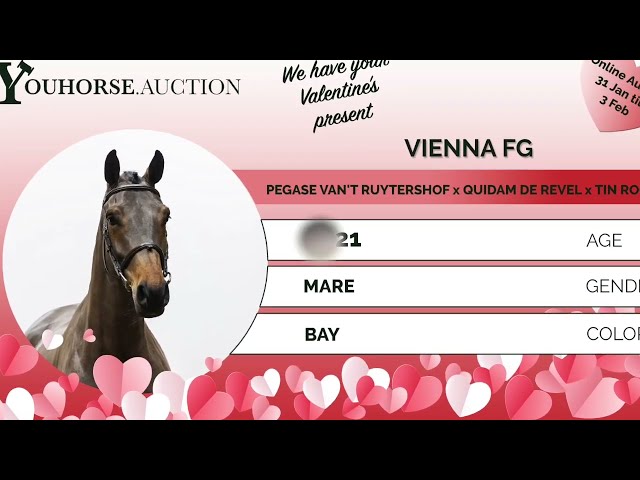 Vienna homevideo
