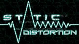 This Is Static Distortion Records - 2013
