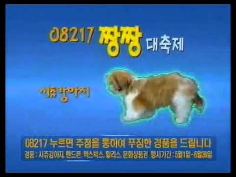 데이콤(LG유플러스) 08217 - 백재현 (2003년)