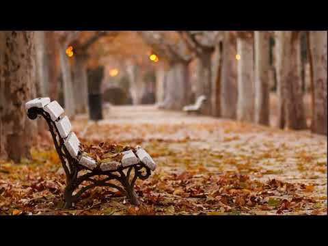 Minoo Javan - Pache Laili (Persian Folk Song)