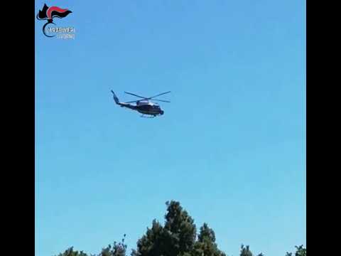 Cecina, Operazione "Colline Bianche": eseguite 11 misure di custodia cauttelare per spaccio