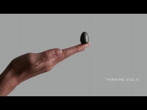 Thinking Egg II | It's Time To Slow Down