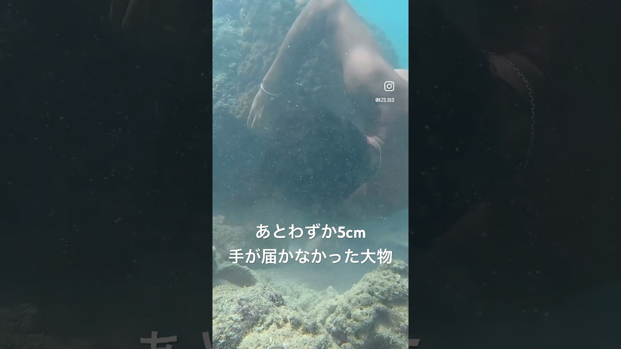 魚は見えているのに手が届かない #サップフィッシング #宮古島
