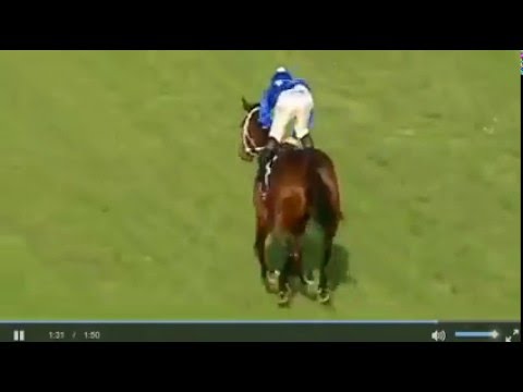 Winx - Theo Marks Stakes 2015