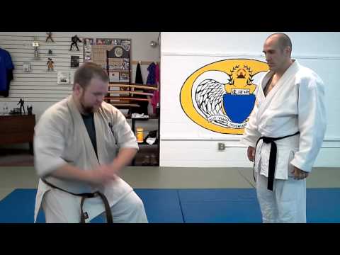 Pinan 1/Heian 2/Pinan sono ni bunkai part 1