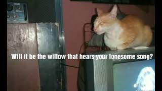 None But The Rain   TOWNES VAN ZANDT   Lyrics