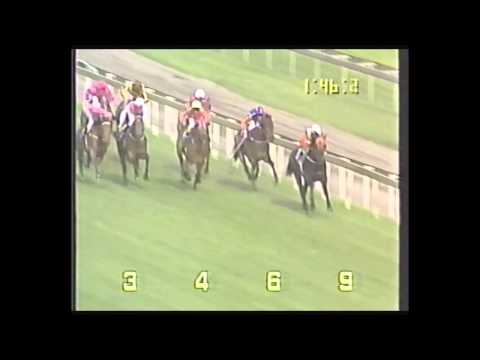 1993 VATC Norman Robinson Stakes