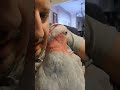 Bird Beatbox Turn Sound Up Birds Animals Pets Beatbox Cockatoo Viral