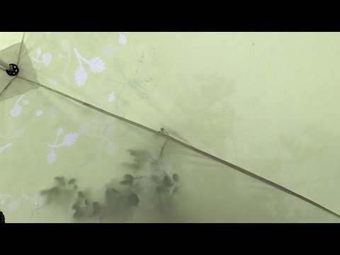 Vois Laulaa Katja Koo