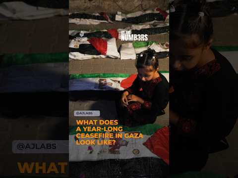 What does a year-long ceasefire in Gaza look like? | By the Numbers