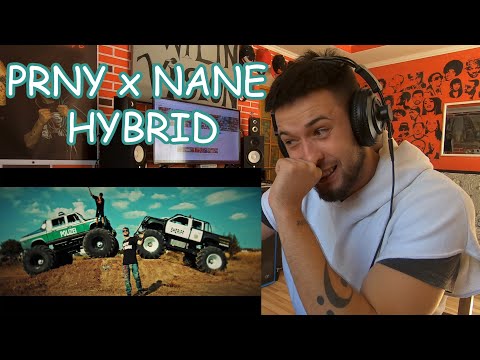 PRNY x NANE - HYBRID || Classy's Reaction