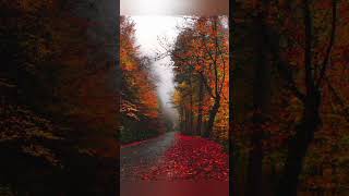 Download lagu pilih yang paling nyaman #nature #aesthetic #alam #nyaman #indah #tenang mp3