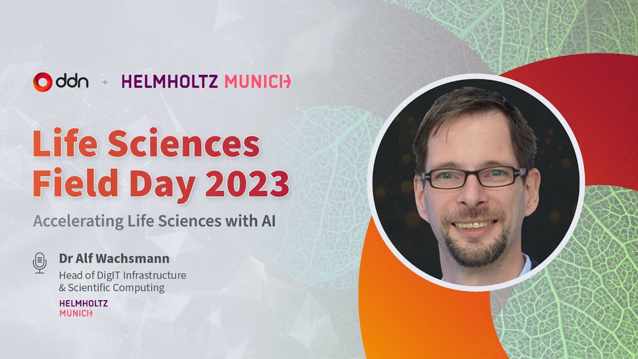 YouTube video preview