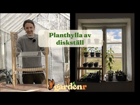 Plant shelf of a dish rack - Gardenhacks by GardenR