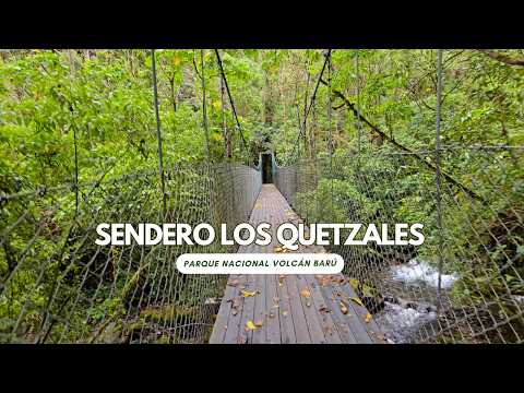 Sendero Los Quetzales, Parque Nacional Volcán Barú. Chiriquí, Panamá
