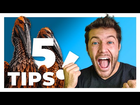 👉5 cosas que NO😱 SABIAS del ICHTHYORNIS🦢 en ARK🦖 || 🤔CuriosidARKs🦕 #033 || Para EMPEZAR